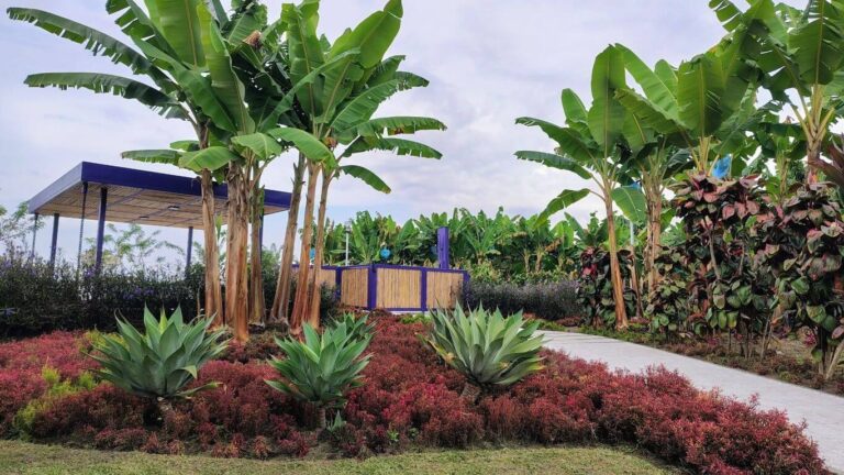 Zonas Verdes del Hotel Recuca